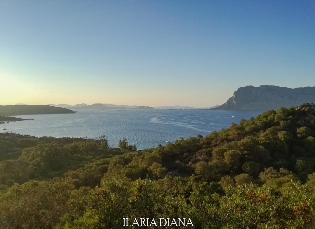 Residence Edilmare San Teodoro Bagian luar foto