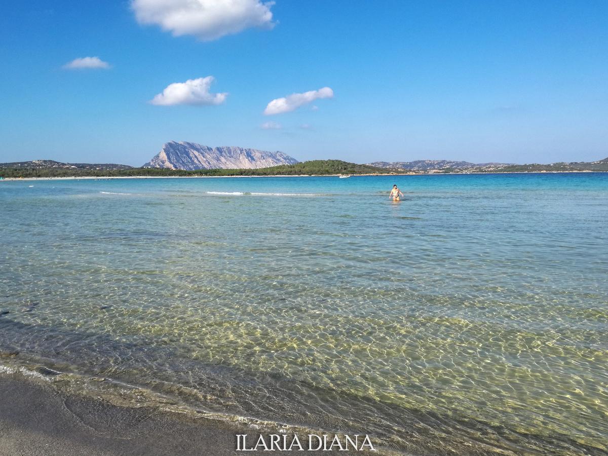 Residence Edilmare San Teodoro Bagian luar foto